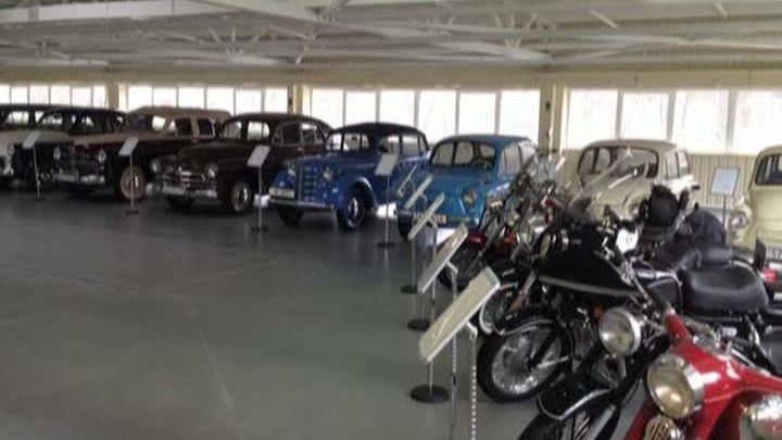 Mașini de colecție, monede de aur și o grădină zoologică în reședința lui Viktor Ianukovici