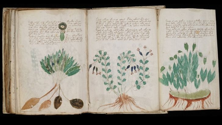 Cel mai misterios manuscris din lume, vechi de 600 de ani, a fost în sfârșit descifrat parțial