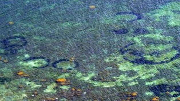 Bizarul fenomen al cercurilor submarine a fost explicat
