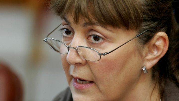 EUROPARLAMENTARE 2014. Stolojan şi Macovei deschid lista PDL la alegerile europene