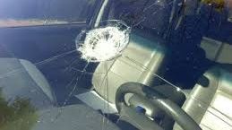 De ce nu pot evita păsările lovirea parbrizului unei maşini