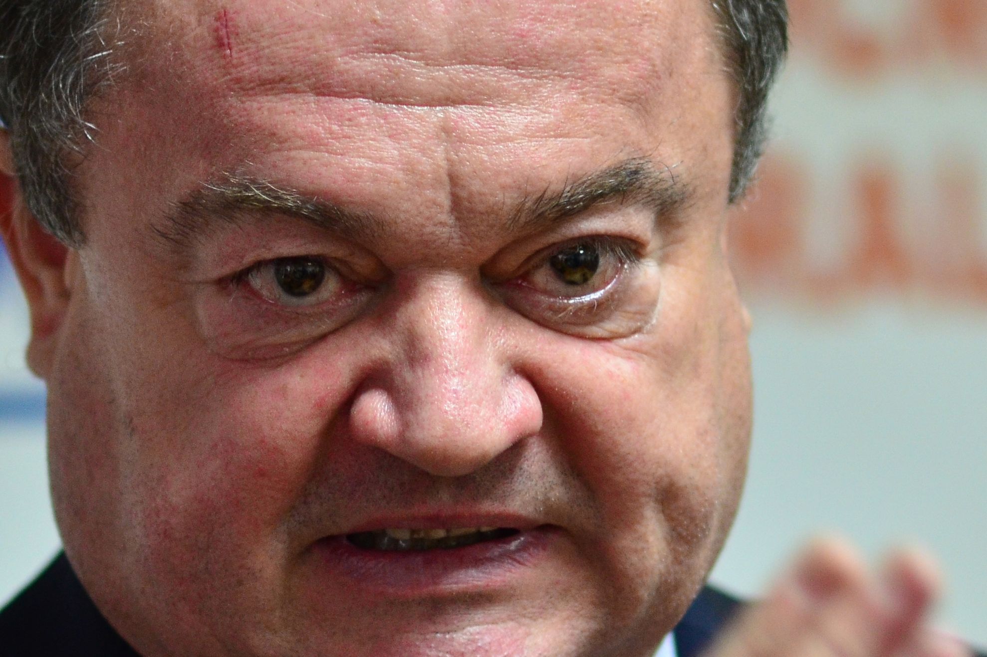 Blaga: E mai bine că Ştefan s-a înscris în FMP decât să stea în PDL şi să-l boicoteze