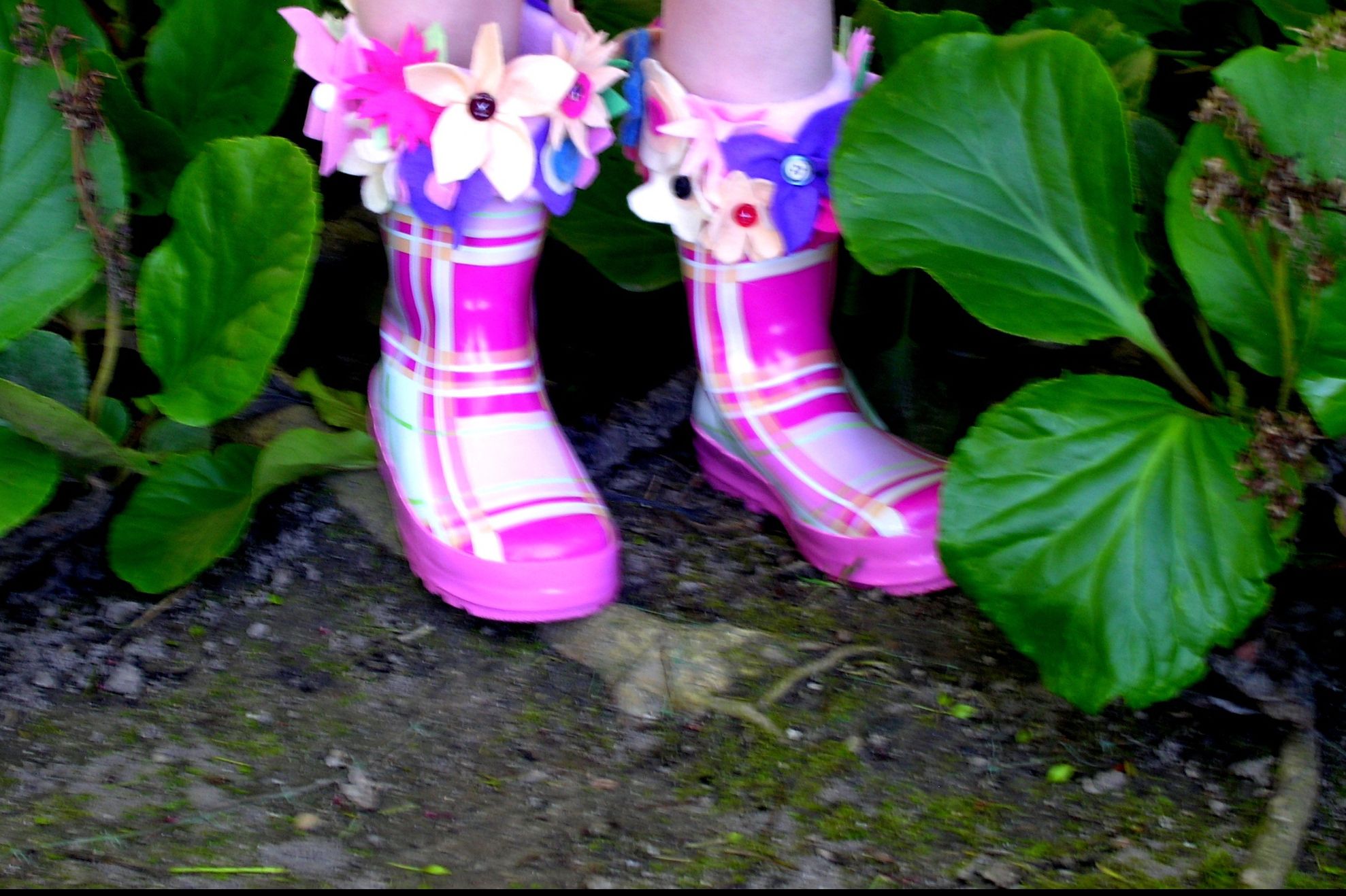 Vin ploile! PROGNOZA METEO pe trei zile 