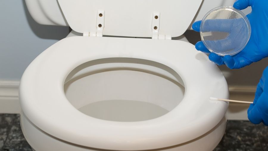 Cât de periculos este să te așezi pe capacul dintr-o toaletă publică?