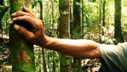 Bărbatul rătăcit într-o pădure de lângă Lugoj, recuperat. SALVATORII, ULUIŢI de starea acestuia