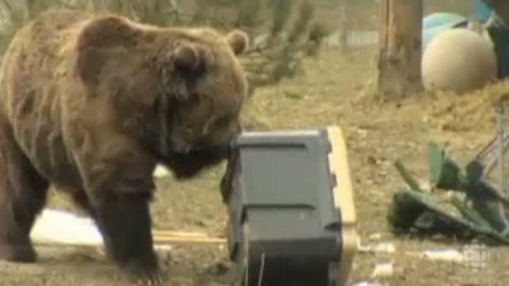 Cum distruge un URS o zi de CAMPING