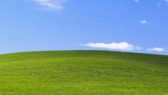 Povestea din spatele celui mai folosit wallpaper din lume. Ce secret ascunde peisajul "Bliss"