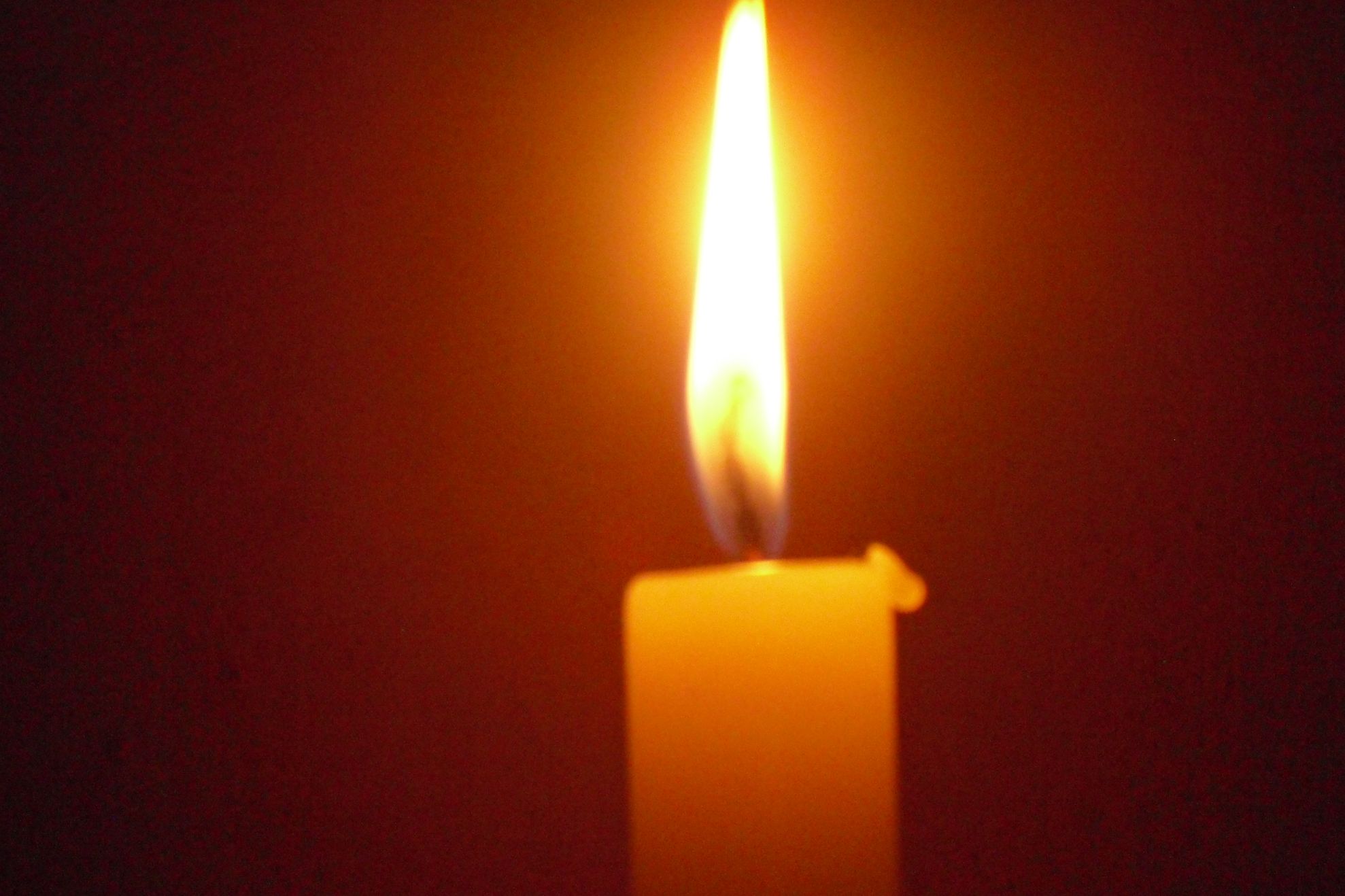 Au murit acum câteva ore! Cumplit