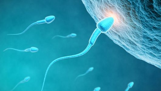 DESCOPERIREA care poate ajuta femeile infertile să aibă copii