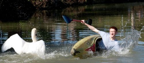 Lebădă RASISTĂ din campusul universitar: ce fel de studenţi ATACĂ