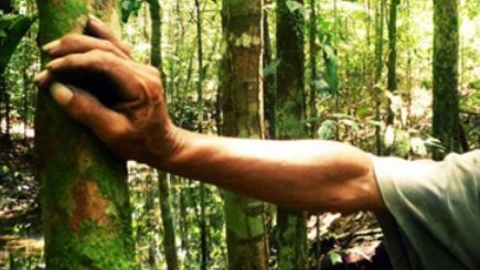 Au tâlhărit şi ucis un bătrân de 78 de ani. Ce pedeapsă au primit criminalii 