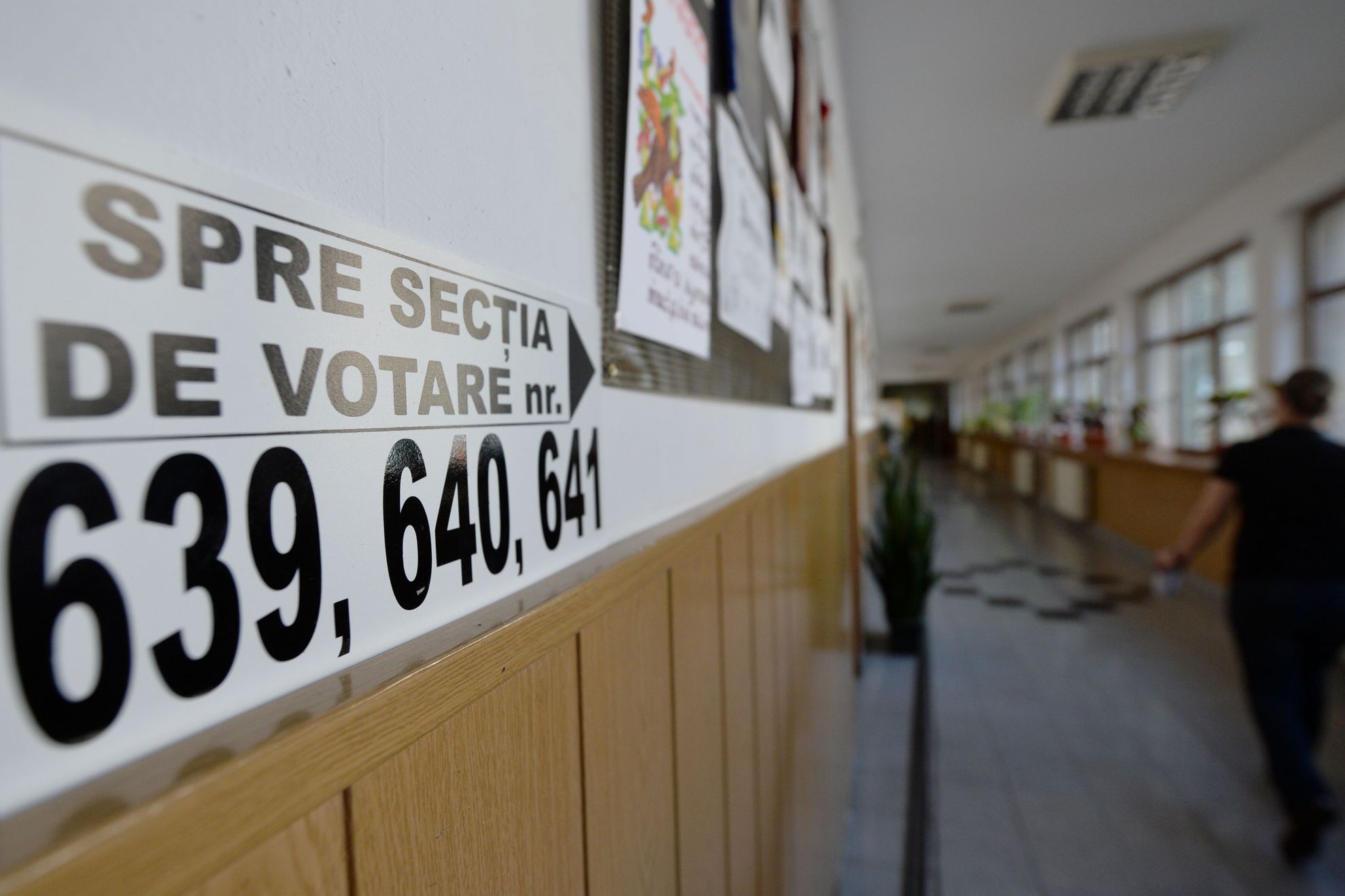 REZULTATE EUROPARLAMENTARE 2014. Erori la două secţii de votare, procesele-verbale fiind refăcute