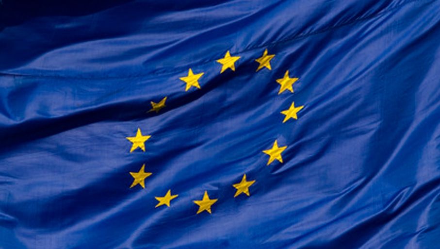 ALEGERILE EUROPARLAMENTARE 2014. Românii îşi aleg EUROPARLAMENTARII