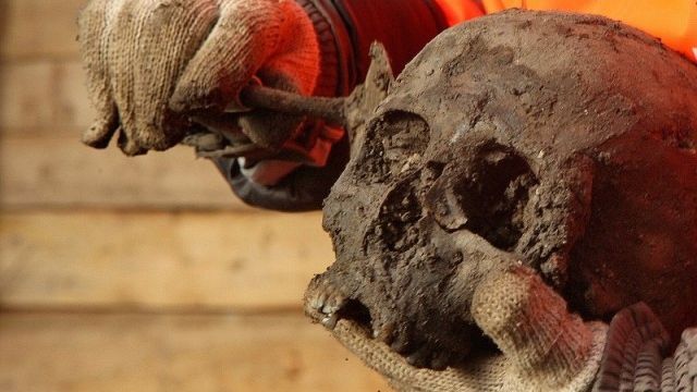 DESCOPERIRE INCREDIBILĂ pe o stradă din centrul Timişoarei