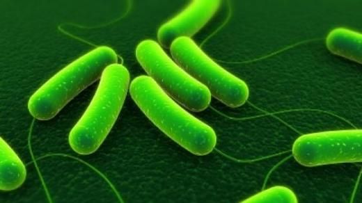 PERICOLUL ASCUNS DIN AVIOANE: Bacterii virulente pot să supravieţuiască o săptămână în avioane