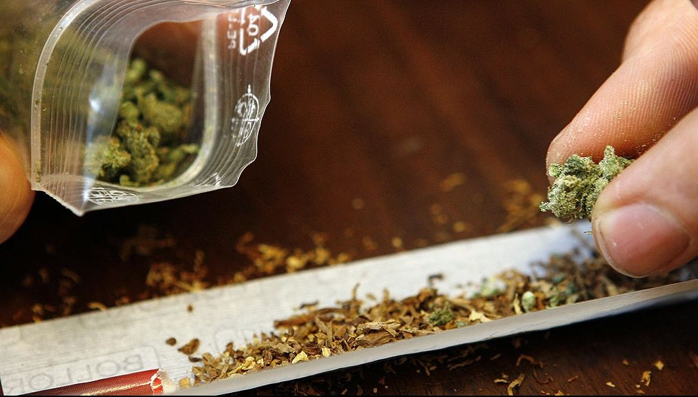 DESCOPERIRE incredibilă. Plantație de canabis pe bloc