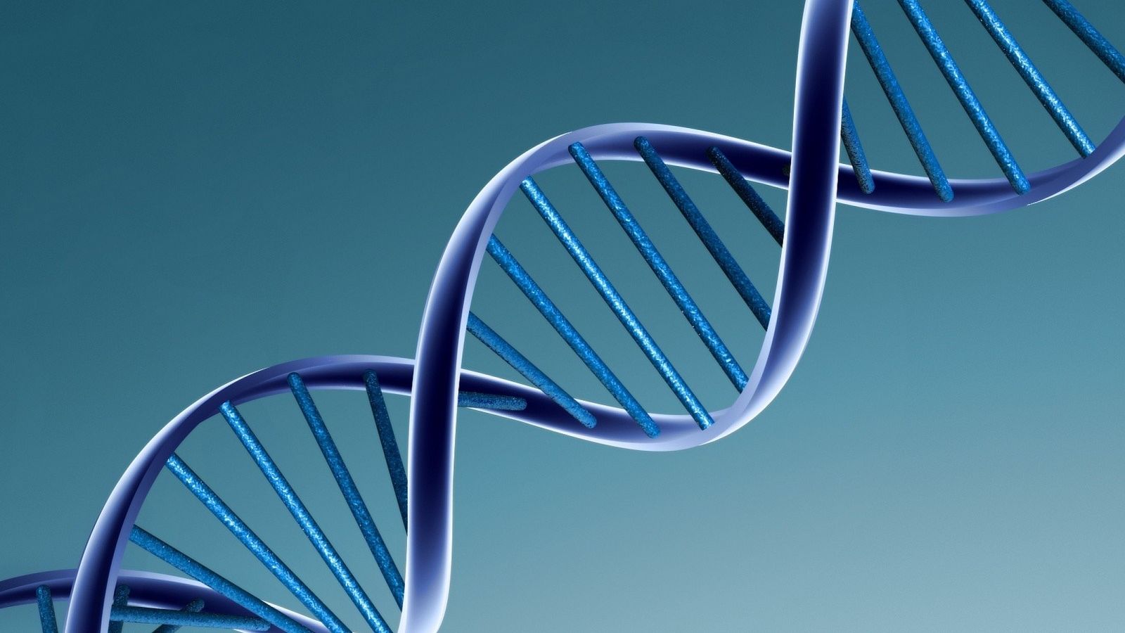 Primul organism viu semi-sintetic din lume, creat de cercetătorii americani