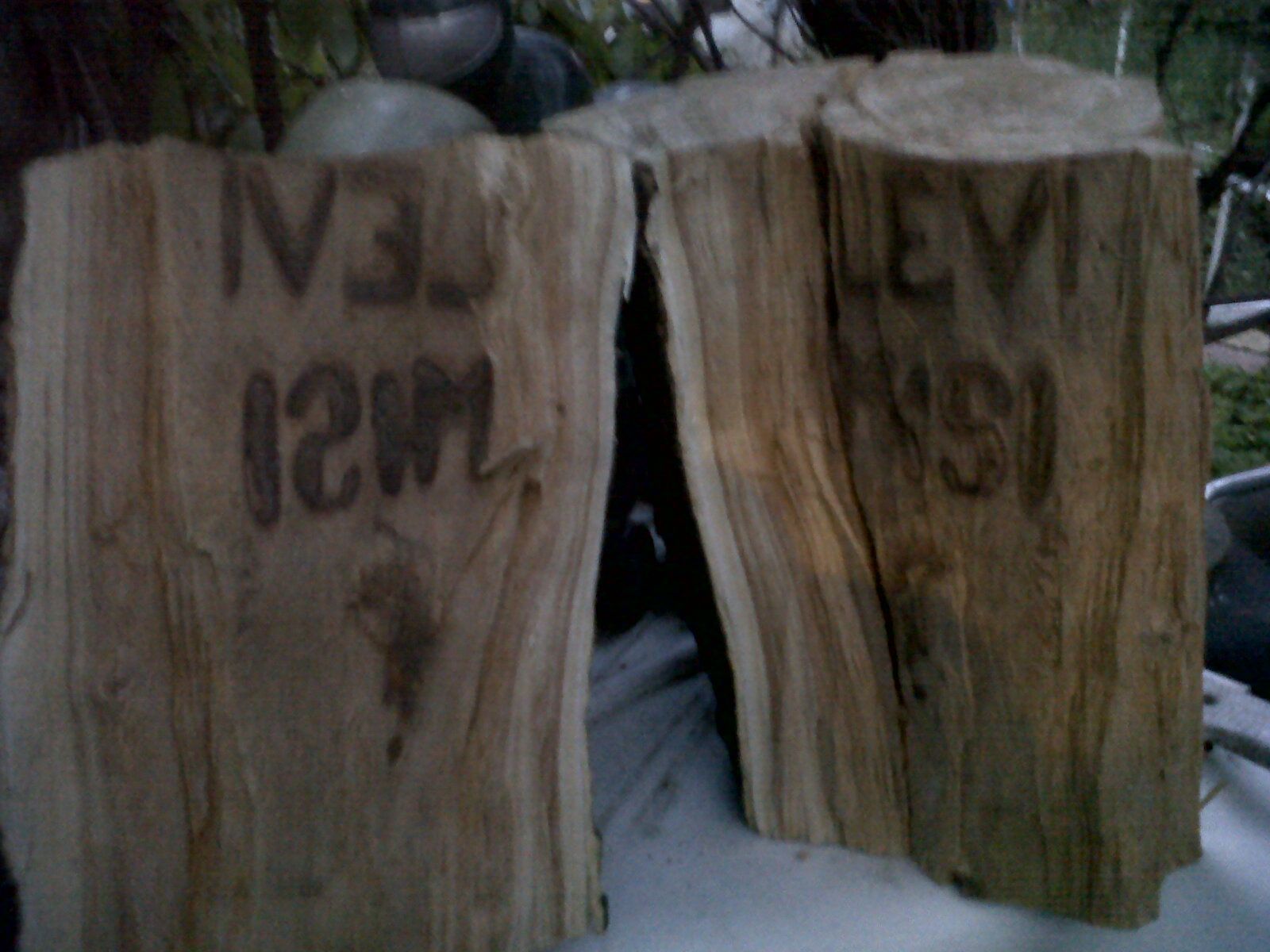 Mesaj misterios găsit de un român într-un butuc de lemn