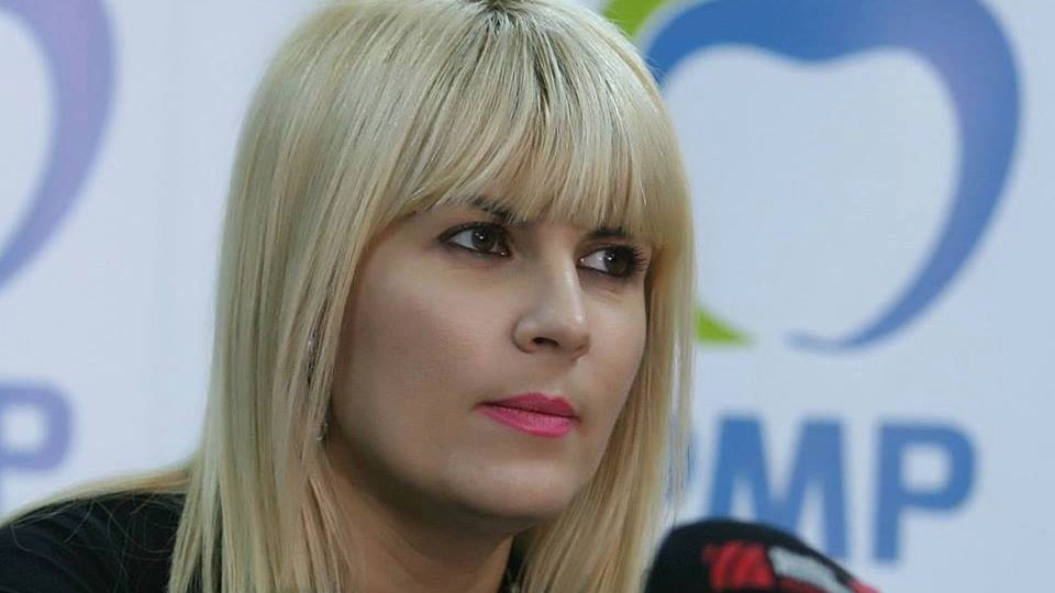 Udrea: Nu suntem partidul celor cu doctorate la Sorbona