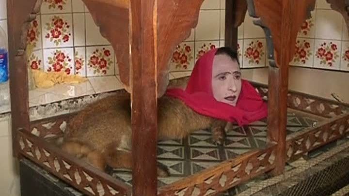 CREATURĂ FANTASTICĂ: Jumatate vulpe, jumatate om la Grădina Zoologică din Pakistan