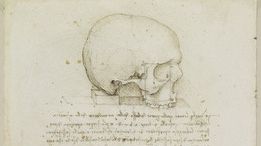 Misterul "craniului lui Leonardo da Vinci". Teoria care a stârnit controverse printre cercetători