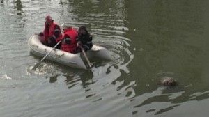 Descoperire macabră în județul Cluj