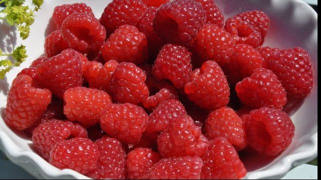 ZMEURA, aliment benefic împotriva oboselii 