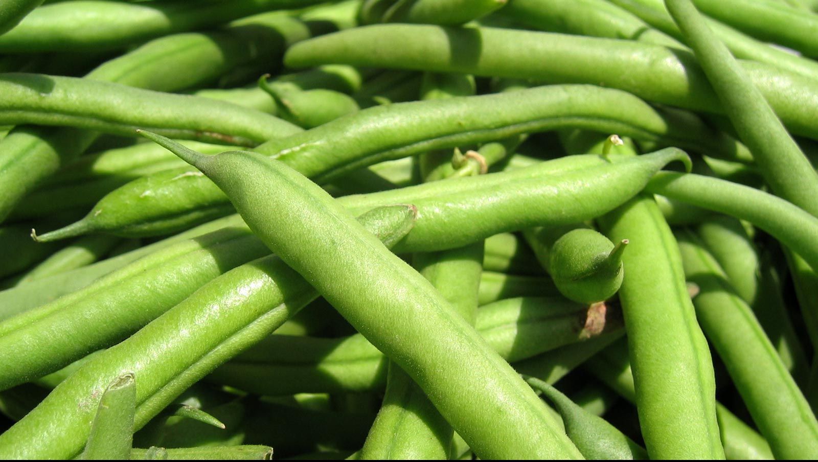 Motivul incredibil pentru care femeile trebuie să mănânce fasole verde. Nu se ştia până acum