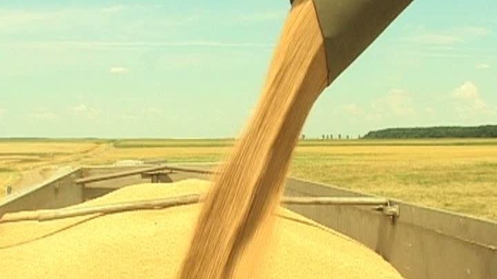RECOLTA RECORD. România, din nou grânarul Europei 