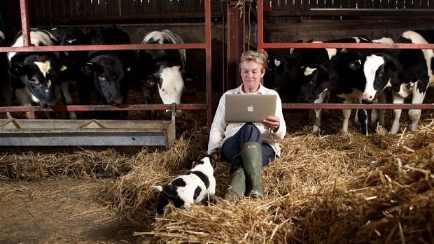 STUDIU: 47% dintre românii care locuiesc la sate "sunt pe internet"