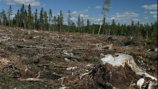 DE CE N-A FOST URMATA MAREA DEFRISARE DE MAREA ARESTARE – "Jocuri de Putere”