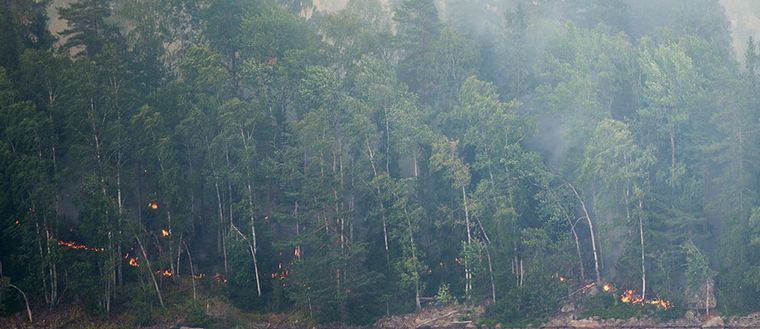 STARE de CALAMITATE, în Suedia. Cel mai mare INCENDIU de vegetaţie din ultimii 40 de ani