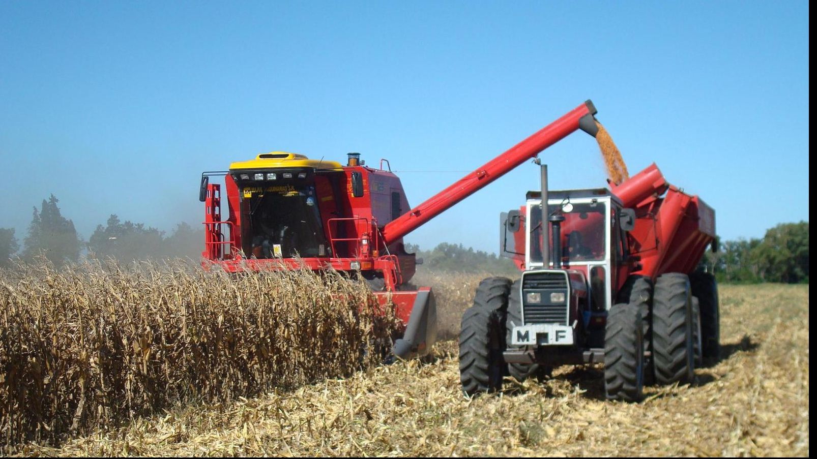 SURPRIZĂ de coșmar pentru agricultori. Numai asta le lipsea