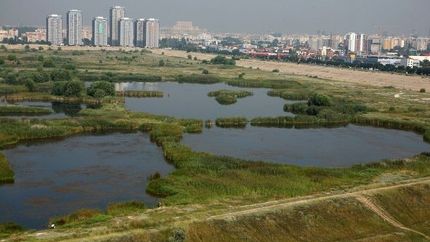 Lacul Văcăreşti ar putea fi declarat arie protejată. Ce spune Oprescu despre Delta din Bucureşti