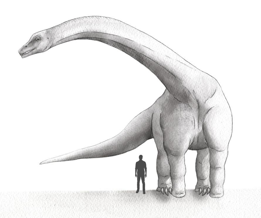 A fost găsit cel mai mare dinozaur din istorie. Era cât 12 elefanţi la un loc