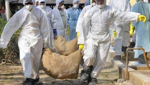Alertă de epidemie în Franța! S-au descoperit patru noi cazuri de gripă aviară 