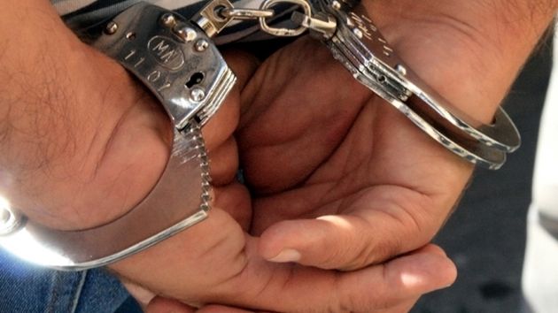 17 persoane au fost reţinute într-un dosar vizând furturi de animale şi material lemnos