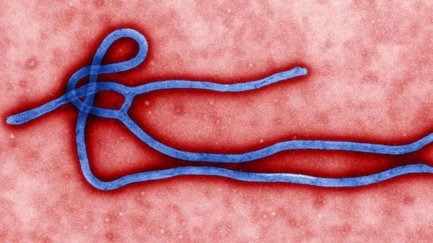 EBOLA: De unde vine numele acestui virus şi ce înseamnă