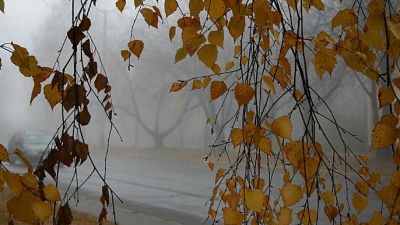 La munte va ninge! METEO pe trei zile