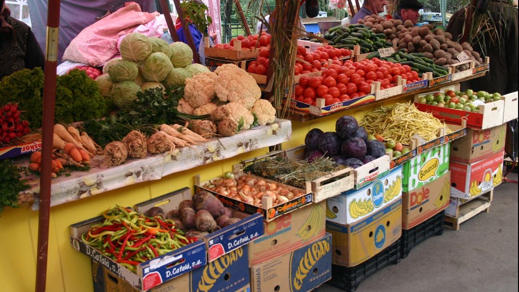 Guvernul Dăncilă ne întoarce la comerțul centralizat de stat
