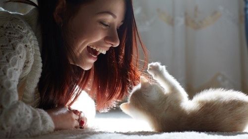 Cum să cureţi rapid părul de pe covoare şi mochetă