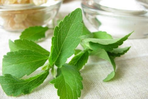 Planta de 300 de ori mai dulce decât zahărul considerată cel mai sănătos îndulcitor