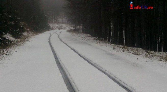 NINSORI ABUNDENTE şi drumuri acoperite de ZĂPADĂ, în ţară