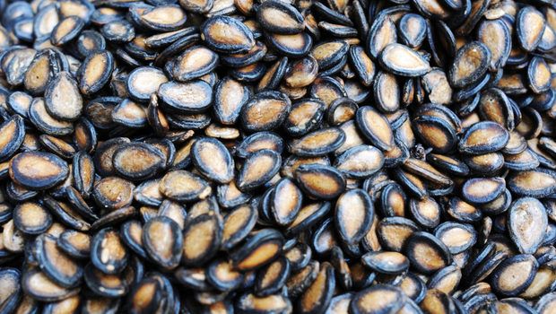 Beneficiile miraculoase ale ceaiului de seminţe de pepene