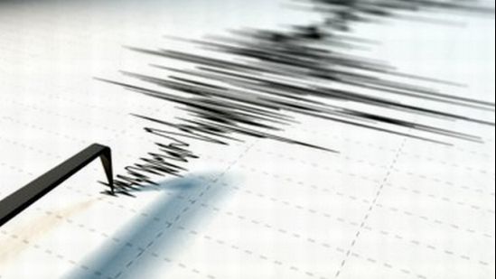 DOUĂ CUTREMURE AU ZGUDUIT ROMÂNIA. Cel mai mare, 4,8 grade pe RICHTER