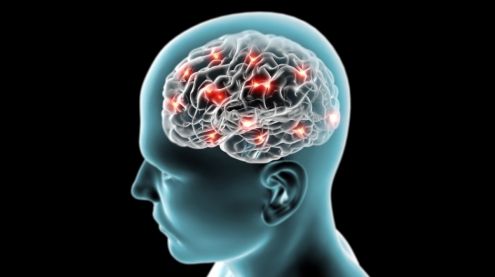 Obiceiul simplu care are un efect dramatic la bătrâneţe: ajută la degenerarea mai mică a creierului