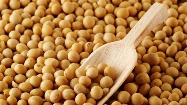 FRESH REFRESH: SOIA, produsul favorit pentru Postul Crăciunului