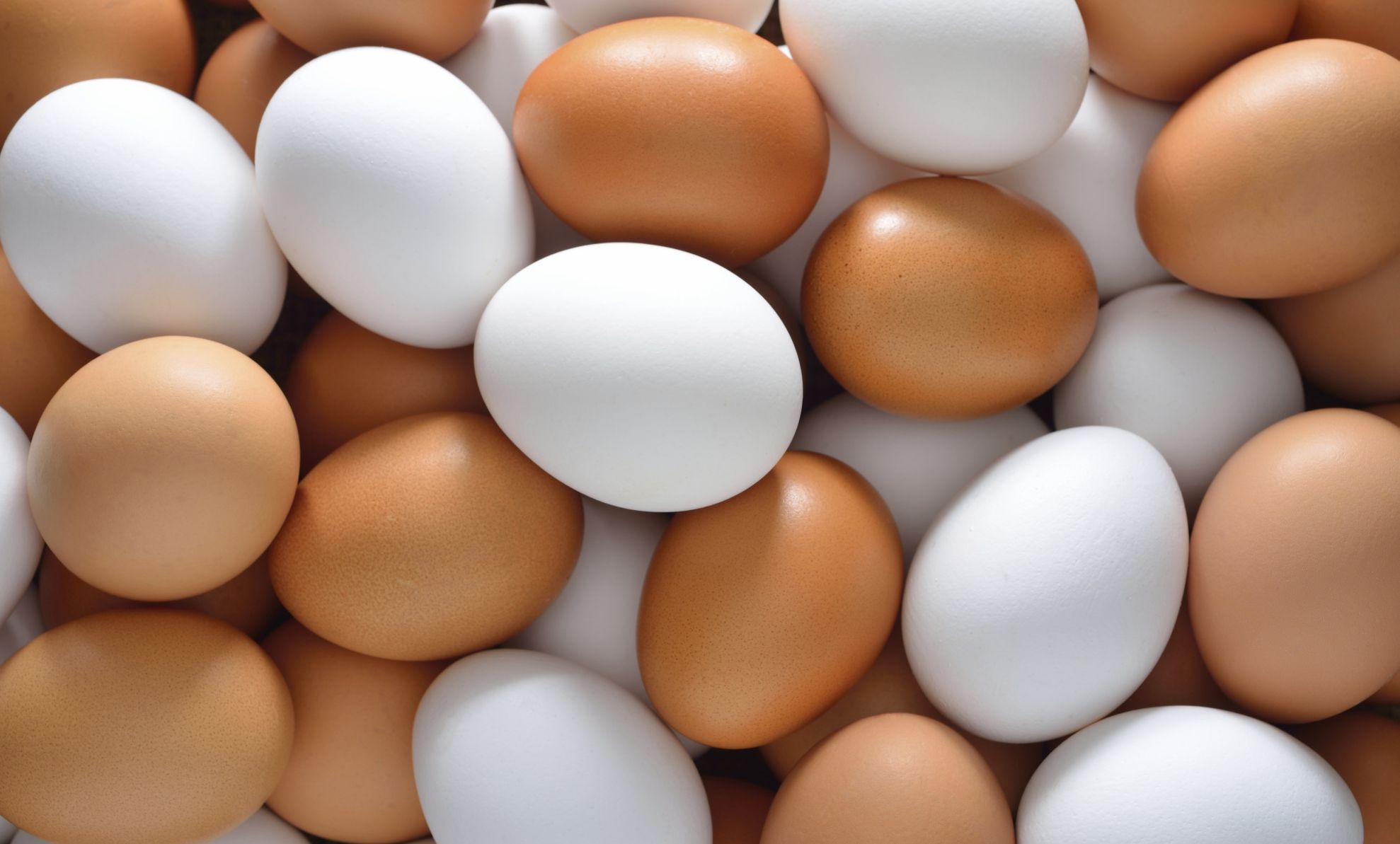 Efectul de necrezut al ouălor asupra personalităţii 