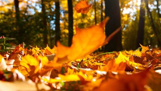 Temperaturi de vară! Meteo pe 22 septembrie