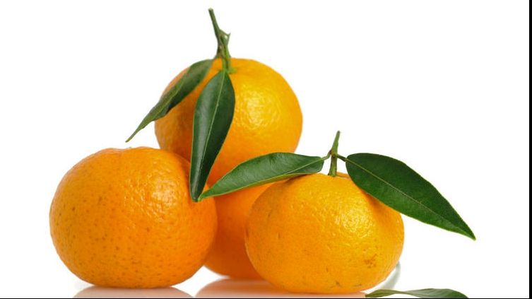 FRESH REFRESH: Sezonul citricelor